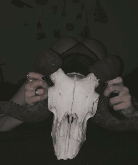 Fleshf1y perfekte top archiv