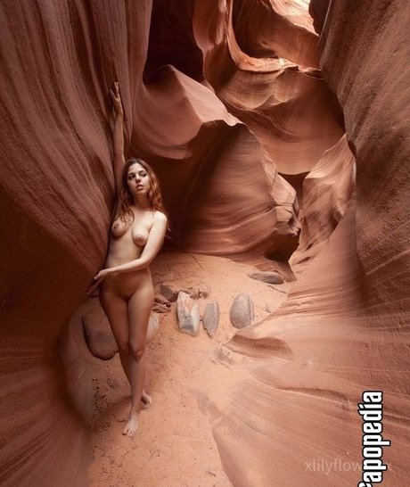 Xlilyflowersx kunst pornographische bild