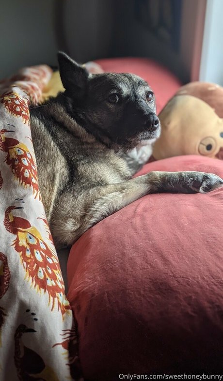 große titten gothic onlyfans heiße nette foto