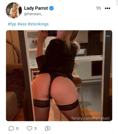 Lady Parrot kostenlose perfekte fotos