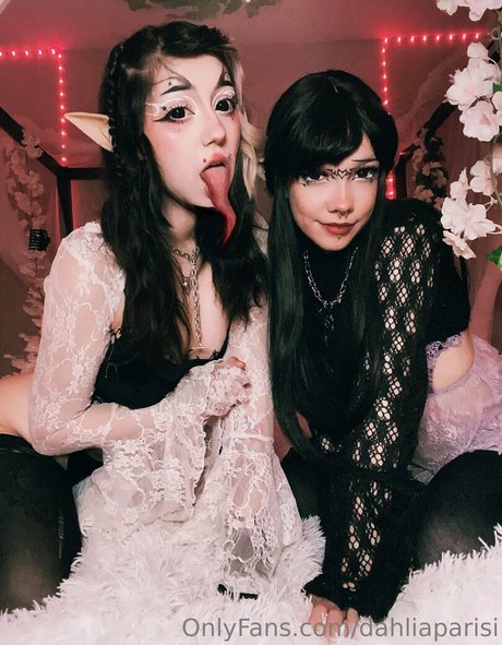 dahliaparisi beste freie bilder