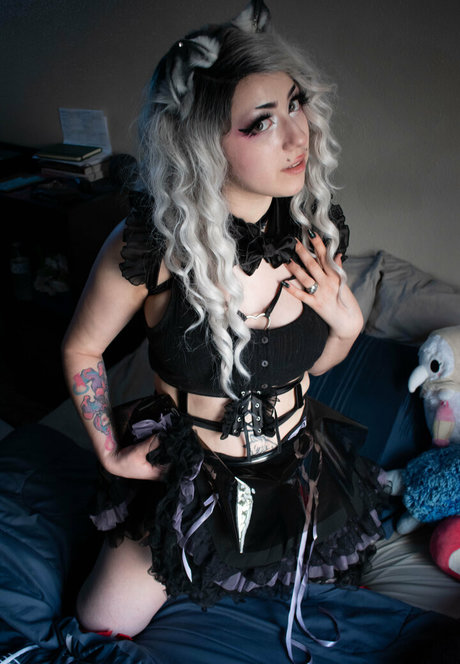 dahliaparisi top freie bilder