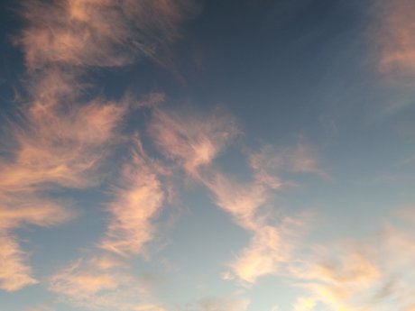 dreamyhedera sexy bild