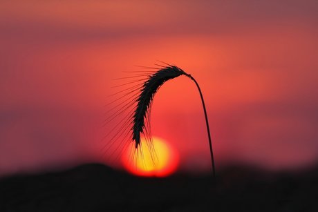 FloriS hd sexy galerien