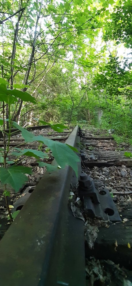 FloriS sexy nackte archiv