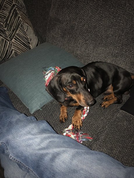 Daniel Gardner Jr_ freie nette archiv