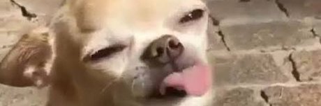 your bibi xxx freie galerien