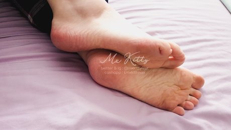 Mx Kitty top schöne bild