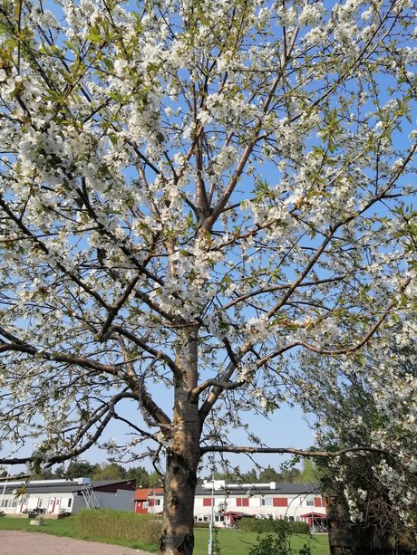 Curvy Libby top porno archiv