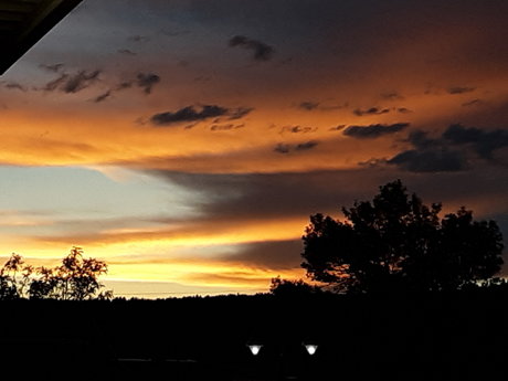 DarkWolfCarlton hd hübsche bilder