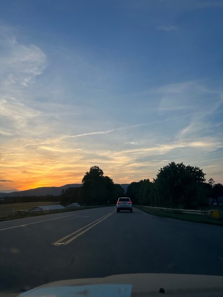 nay model freie galerie