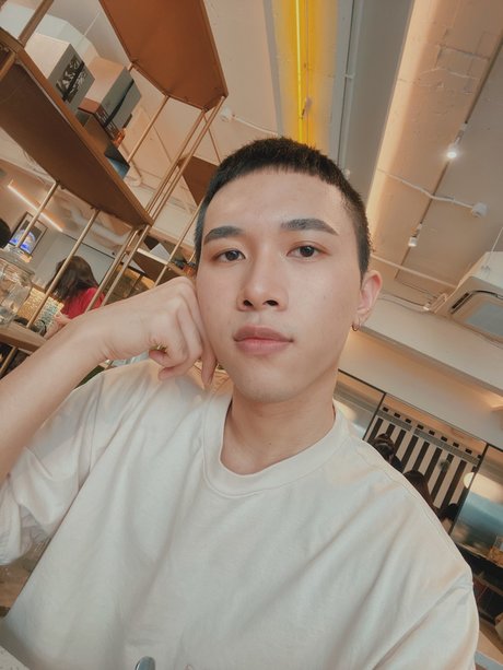 N puppy_ hd kunst foto