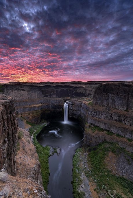 Blackpanther top nackten bilder