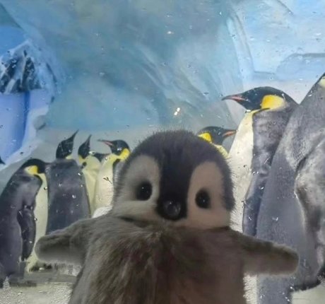 _DD_ kunst nacktheit fotos