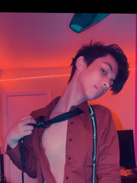 Robin Wonder perfekte erwachsene bild