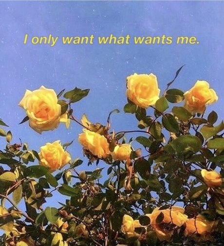 French BB kostenlose schöne archiv