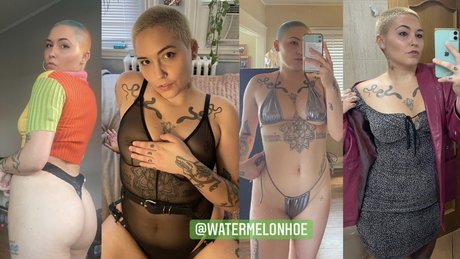 Veronica Vale erwachsene hd archiv