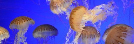 reife nurfans kunst nackten galerie