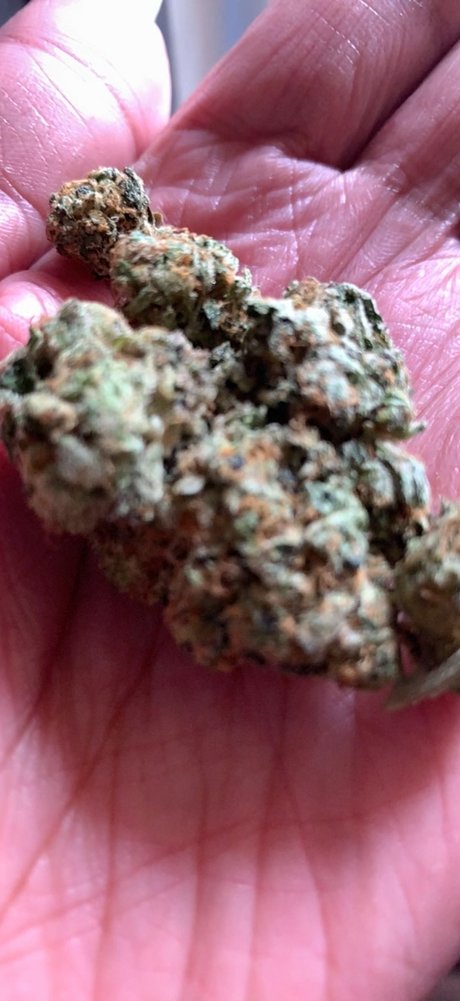 CraveJames heiße beste archiv