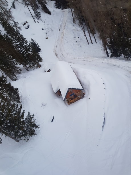 BlackCat kostenlose nette archiv