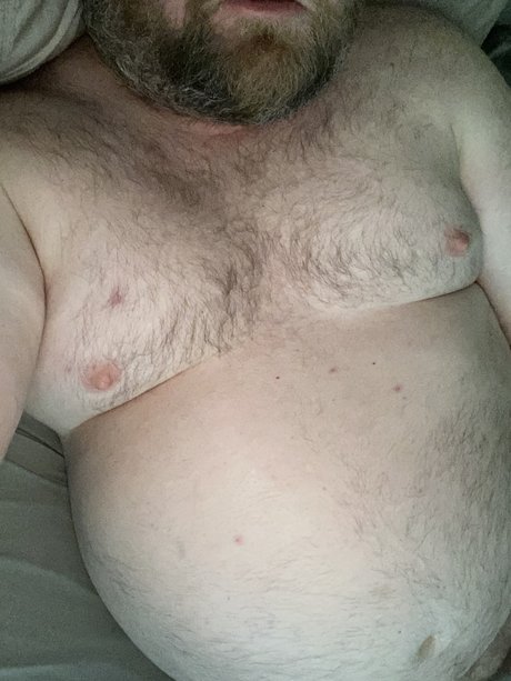 curiousbear73 perfekte top bilder