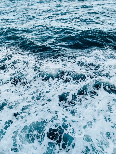 Brandy Sunshine freie beste bilder