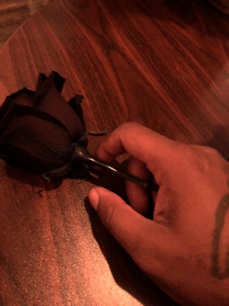 webcam-onlyfans erotische erwachsene galerien