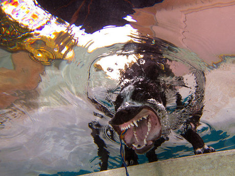 cuminside schauspielerin xxx bild