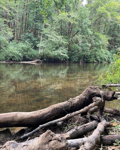 hase xxx onlyfans xxx top galerien