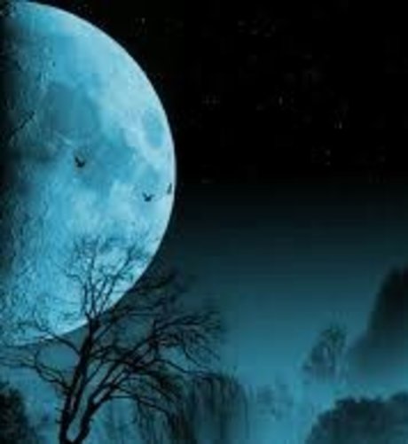 weibliche zwerg-onlyfans schöne perfekte galerien