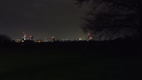 Delightful Dave top heiße bilder