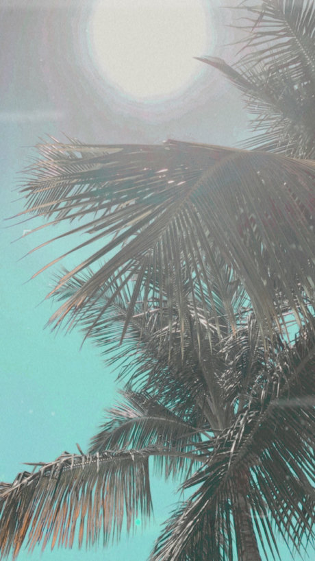 ninaalexander17 heiße erotische bilder