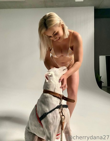 cherrydtv erwachsene akt galerie