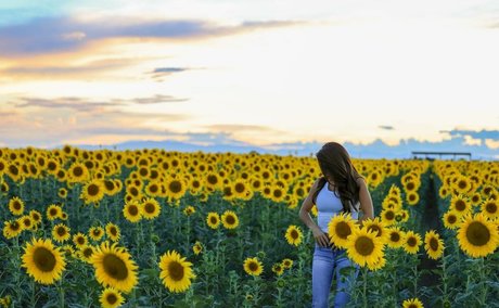 Lauren Boebert erwachsene sexy foto