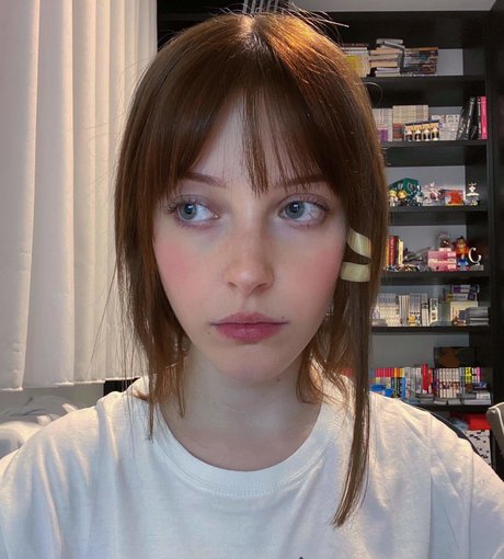 zwei einzige fans hd schöne fotos