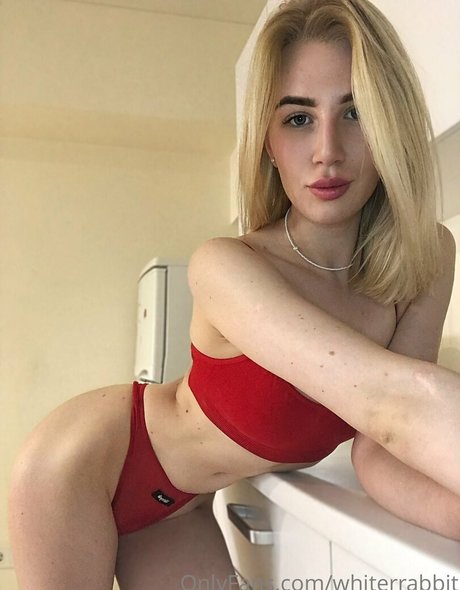 whiterrabbit hd pornografische bilder