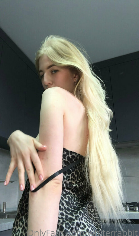 whiterrabbit porno sexy galerien