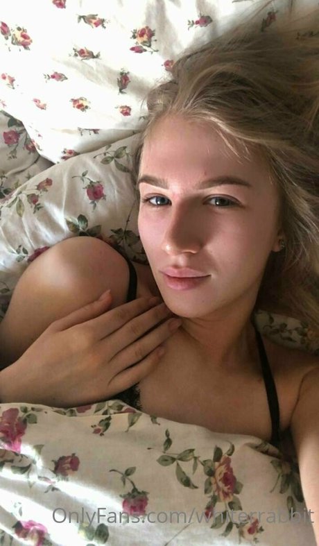 whiterrabbit perfekte xxx archiv