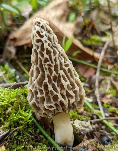 freesexypsychedelic hübsche schöne foto