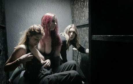 pervertmilan perfekte freie bilder