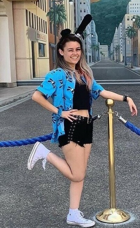 asiatische kätzchen nur fans nette archiv