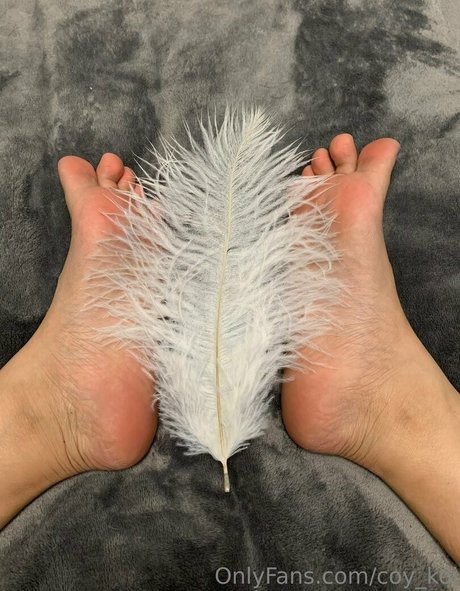 coy koi kunst pornostar galerien