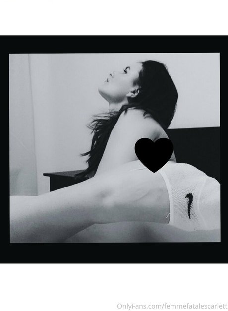 bellajuliafree porno pornostar fotos