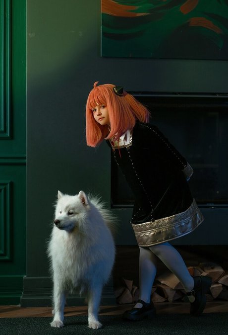 visagefox freie erwachsene bild