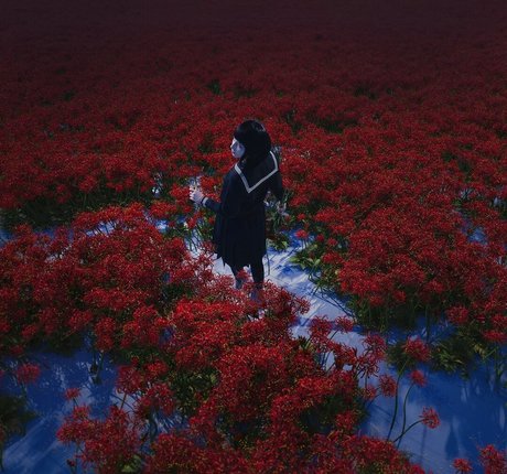 visagefox freie exklusive bilder