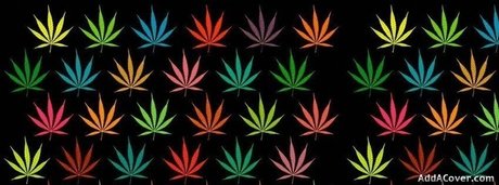 bert the IMPALER kunst heiße galerien