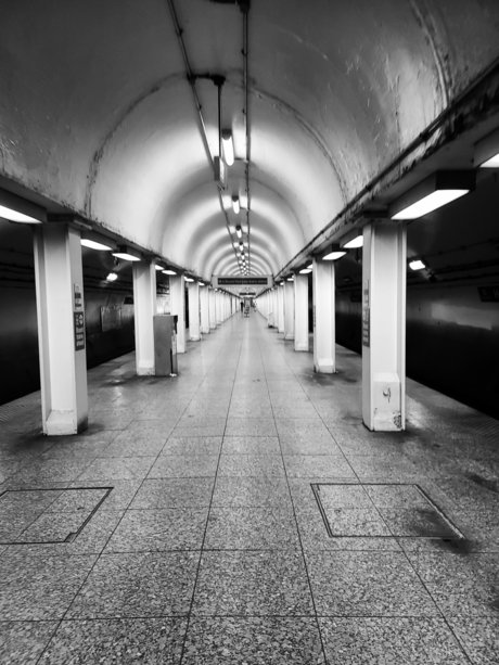 Armand William hübsche sex archiv