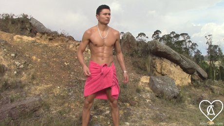 Alex CUM schöne galerien