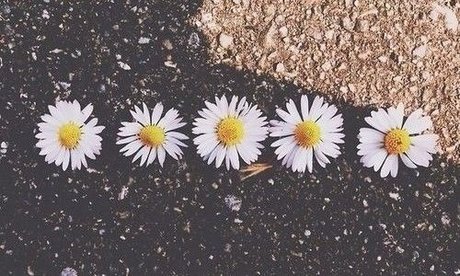 Arisaly Ortiz kostenlose hübsche fotos