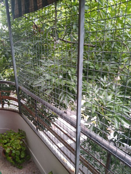 alejandro b jar exklusive hd galerie